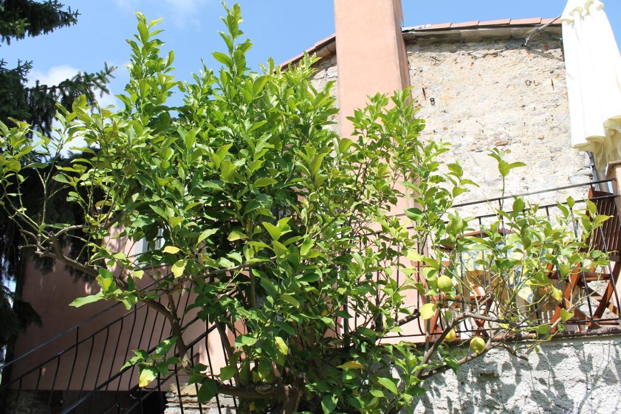 Vila Agriturismo Terrazza Sul Golfo - Il Casale La Spezia Exteriér fotografie